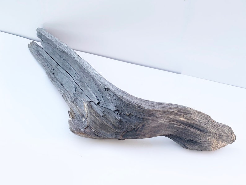 Extra Large Driftwood, Garden Wood Decor, Large Driftwood Sculpture