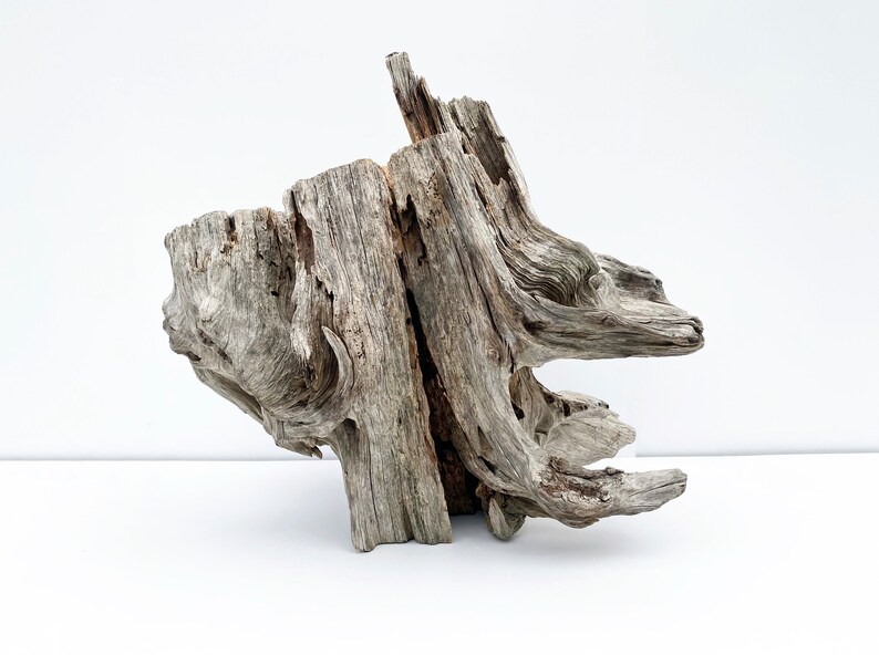 Extra Large Driftwood Sculpture, Wood Terrarium Reptile Hide, Garden