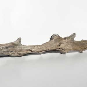 Large driftwood piece, aquarium driftwood, fish tank decoration, aquascaping wood, terrarium decor, fish tank decor, driftwood sculpture