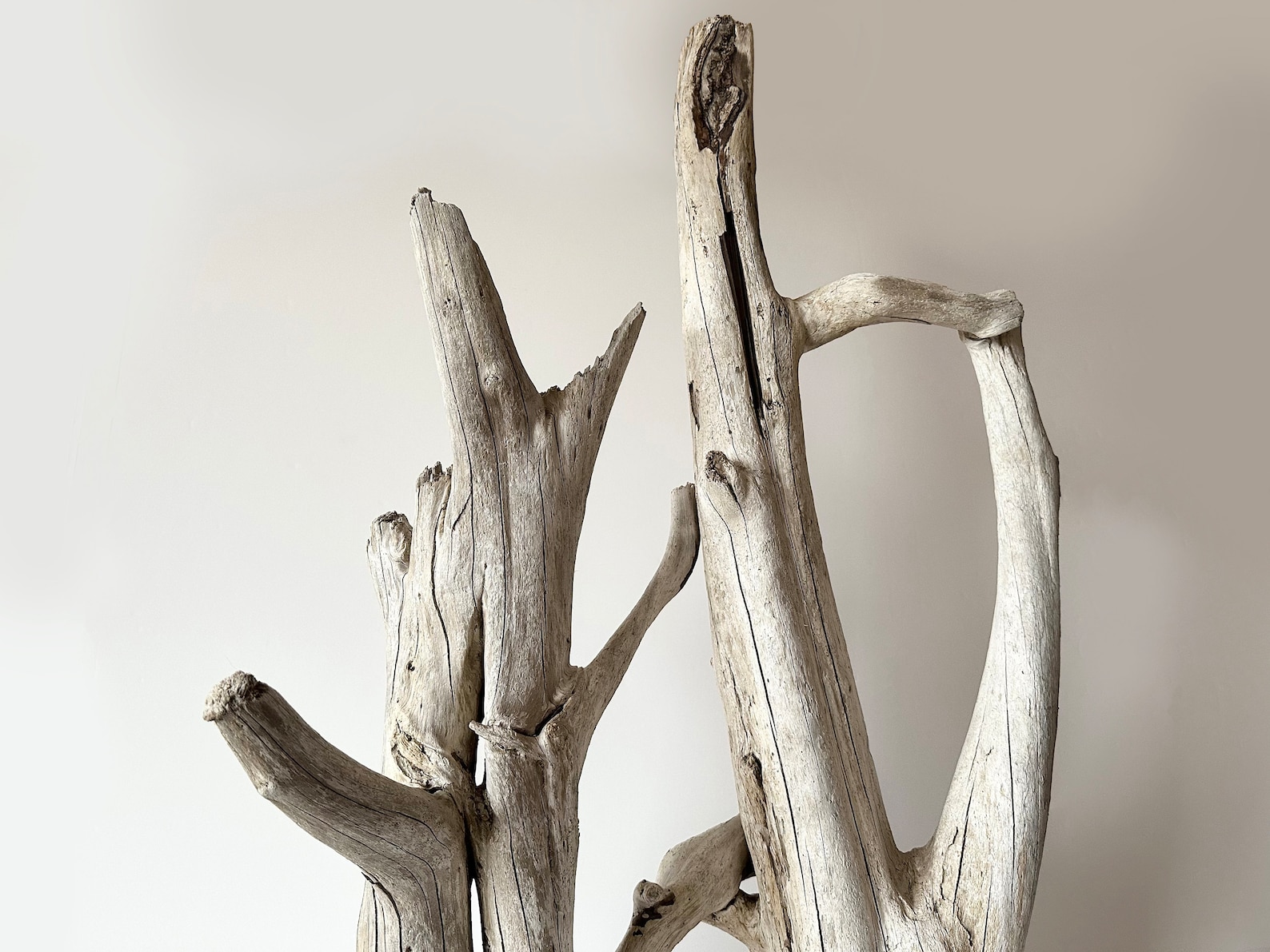 Extra Large Driftwood Aquarium, Floor Sculpture Tall, Driftwood