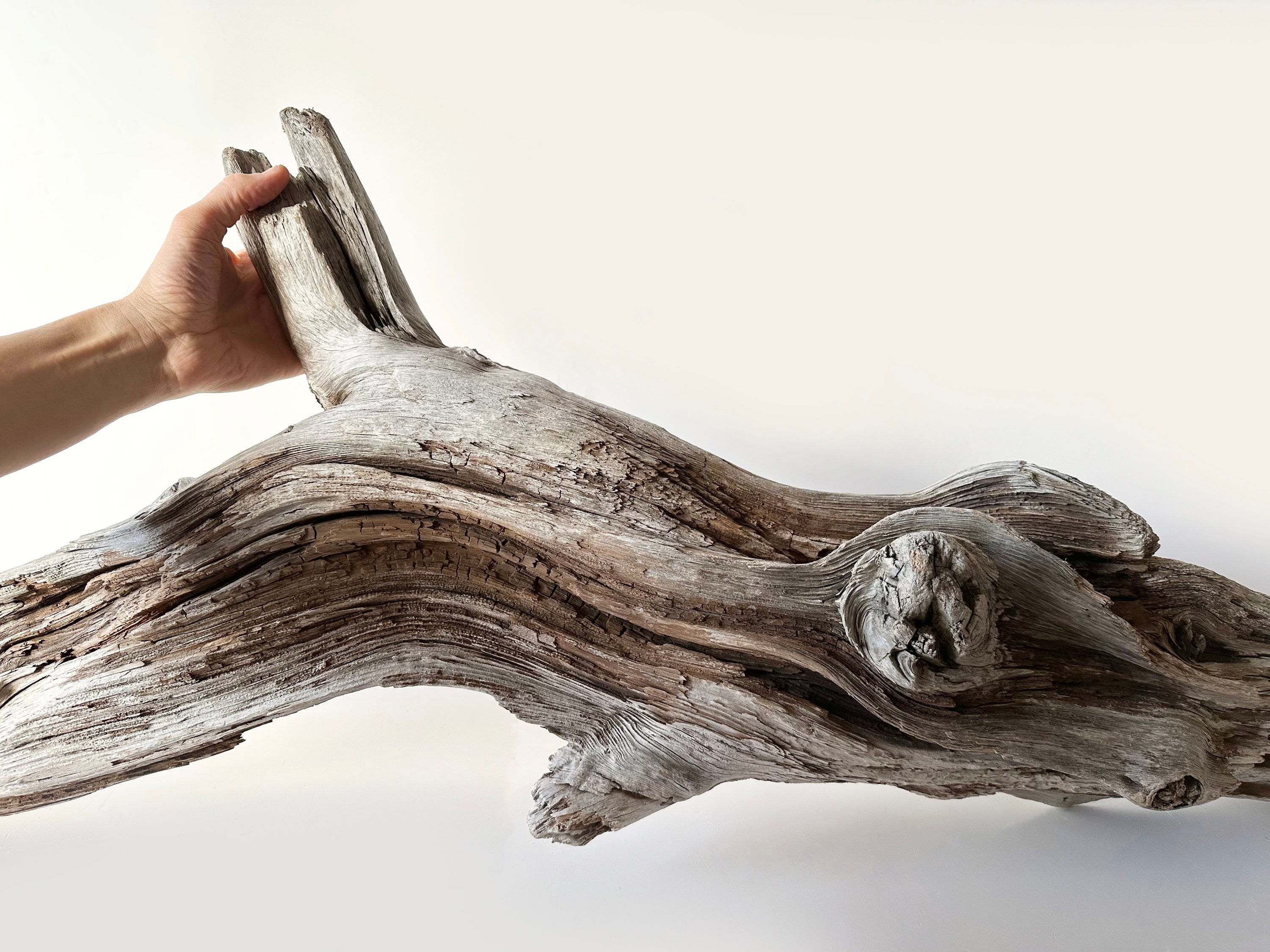 Extra Large Driftwood, Garden Wood Decor, Large Driftwood Sculpture