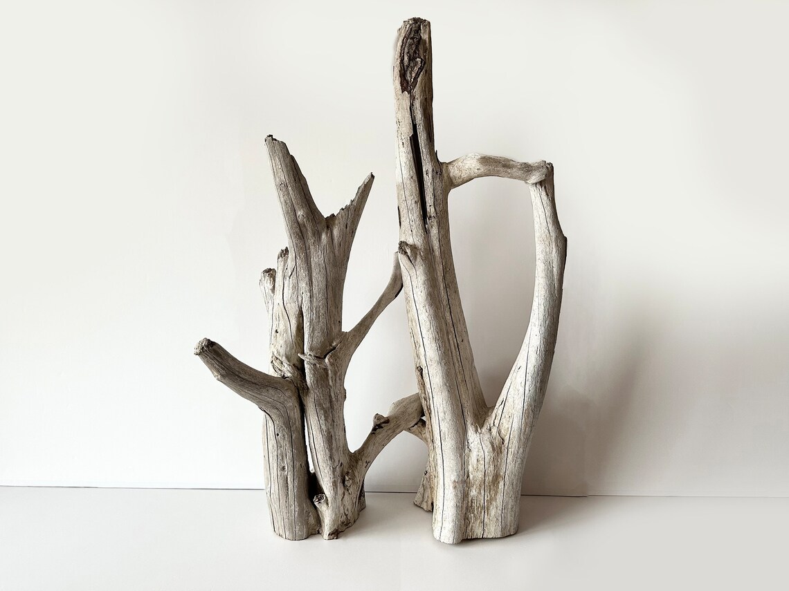 Extra Large Driftwood Aquarium, Floor Sculpture Tall, Driftwood