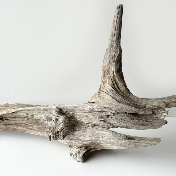 Driftwood sculpture, large driftwood pieces, aquarium driftwood, aquascape wood, garden driftwood decoration, reptile wood terrarium decor