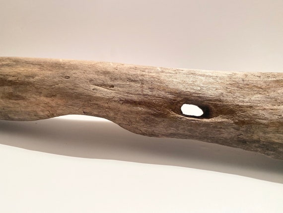 Vivarium hot sale wood decor