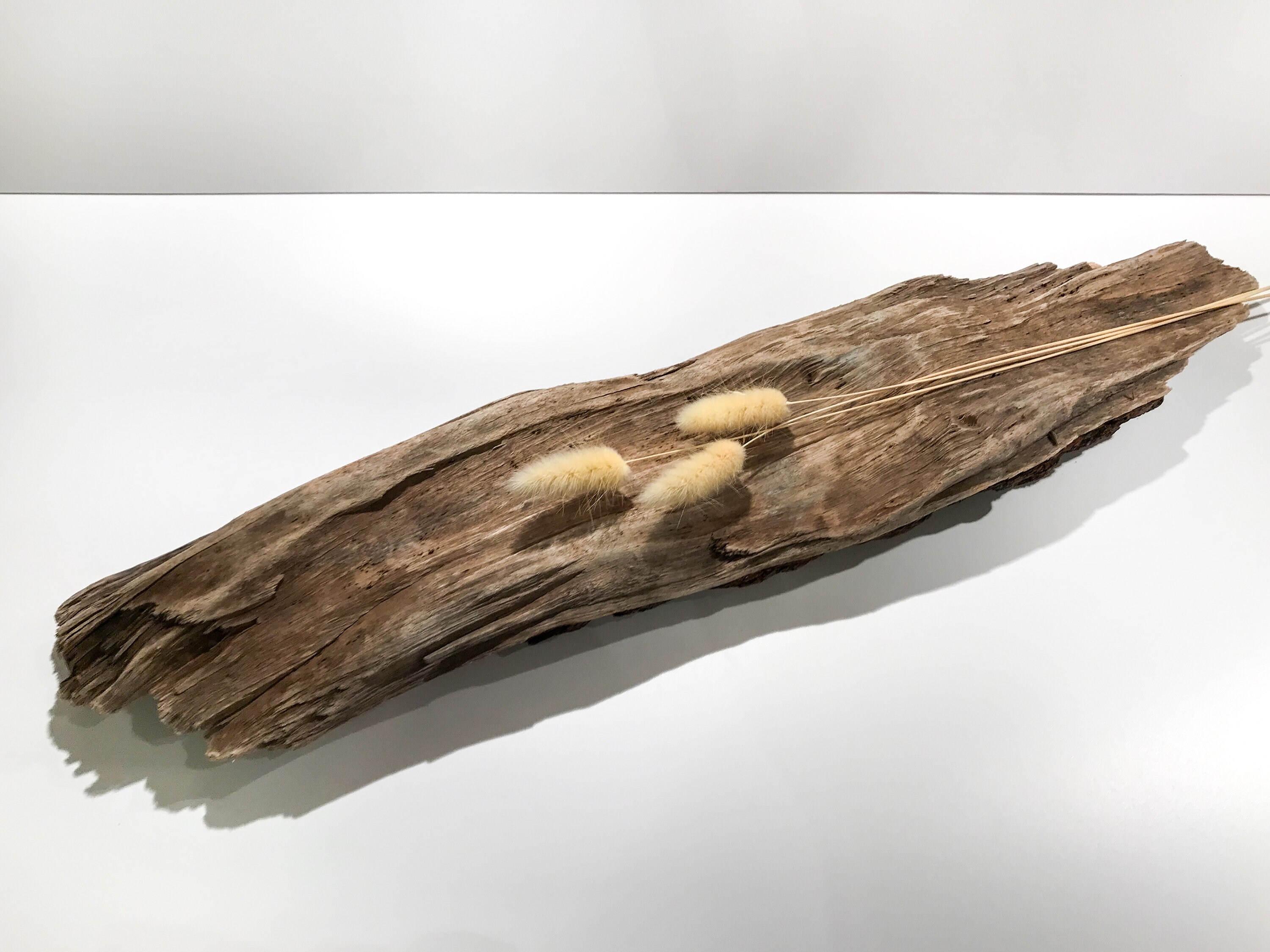 Wood bark driftwood piece bark piece large driftwood tree | Etsy