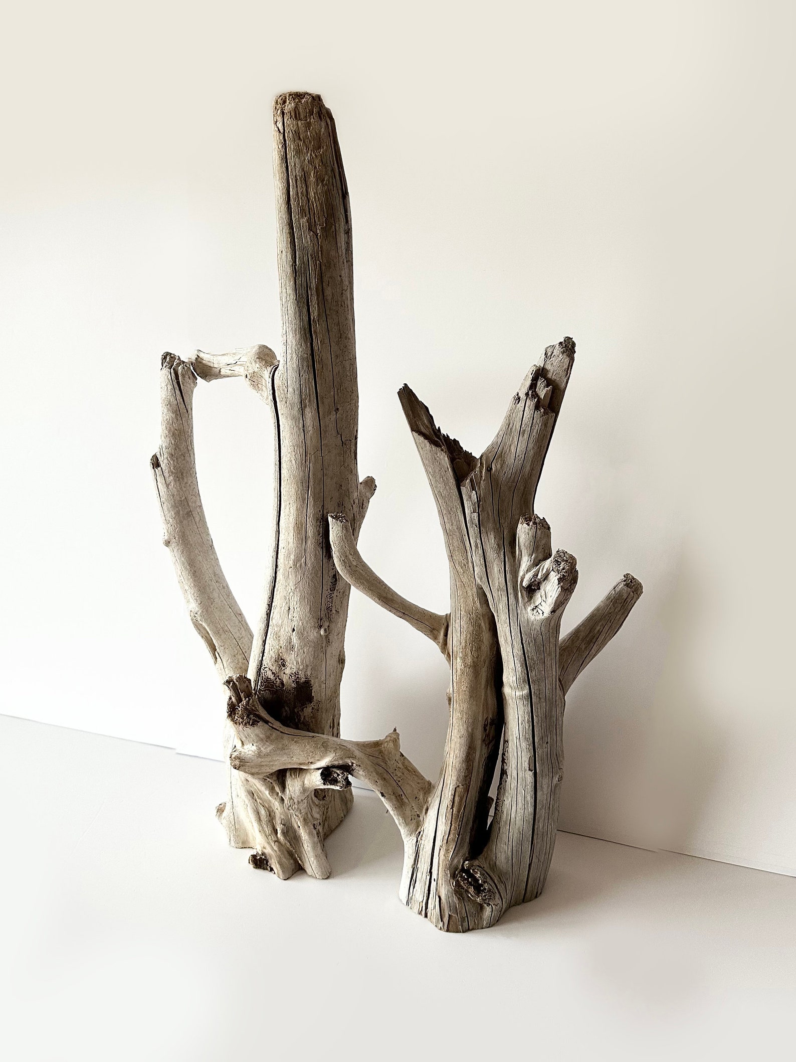 Extra Large Driftwood Aquarium, Floor Sculpture Tall, Driftwood