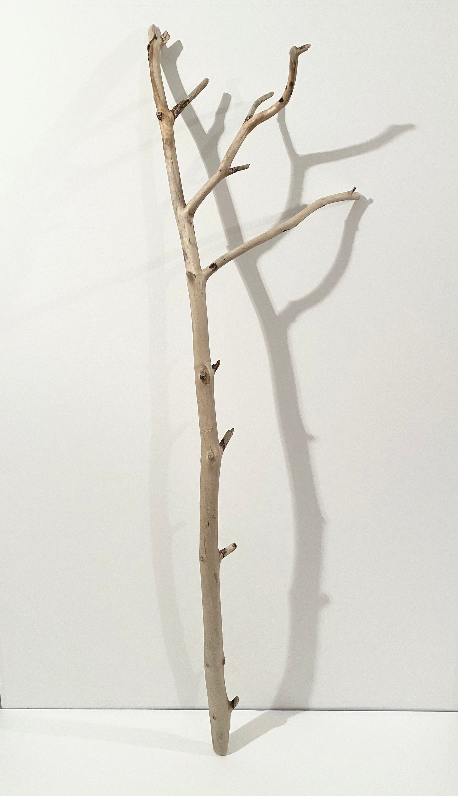 Driftwood branch driftwood wall hanging rustic wall decor Etsy