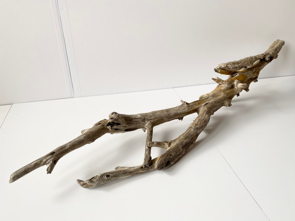 Large Driftwood Piece Aquarium Driftwood Driftwood Branch Etsy