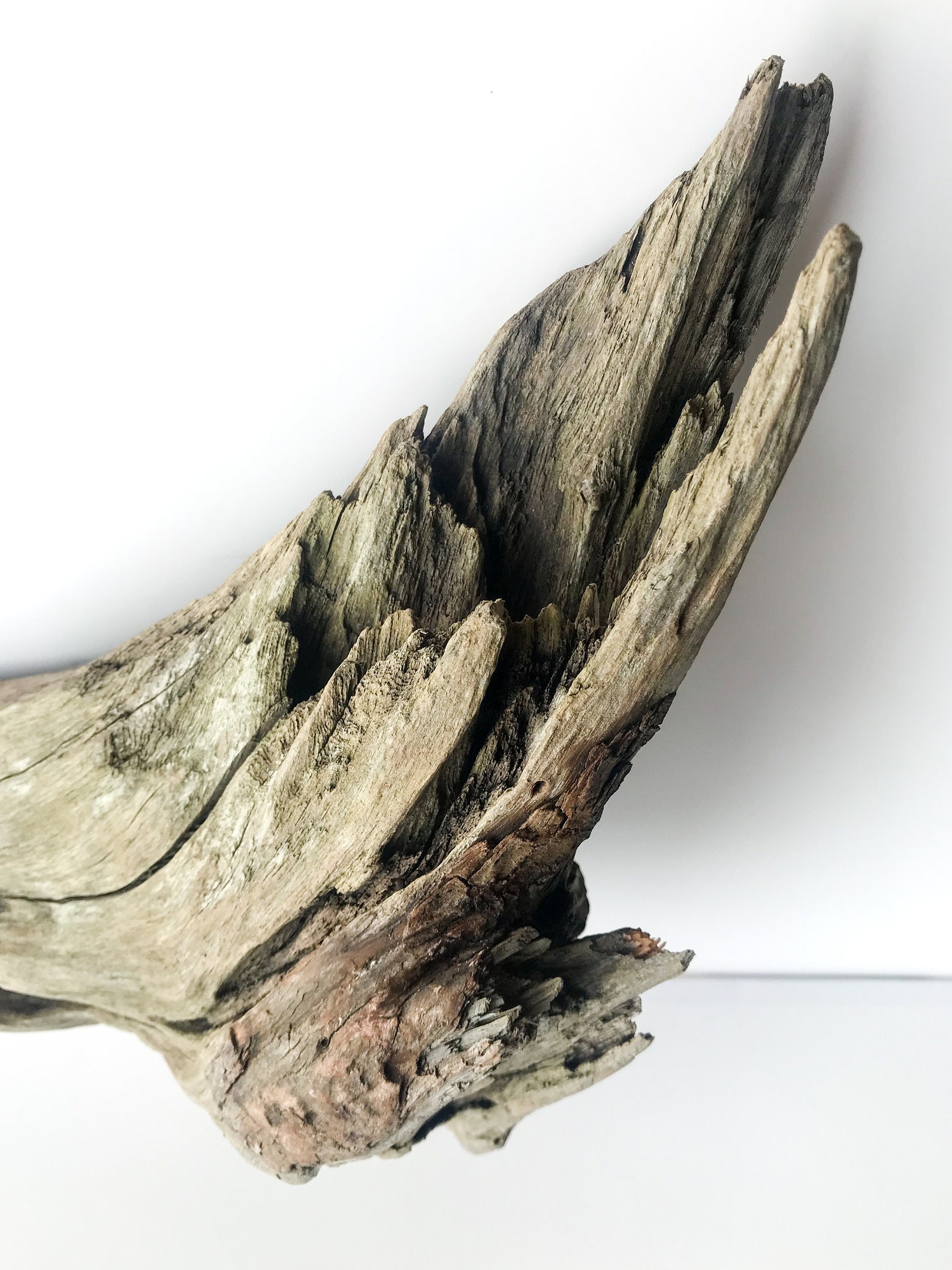 Large Aquarium Driftwood Driftwood Piece Aquascaping Etsy
