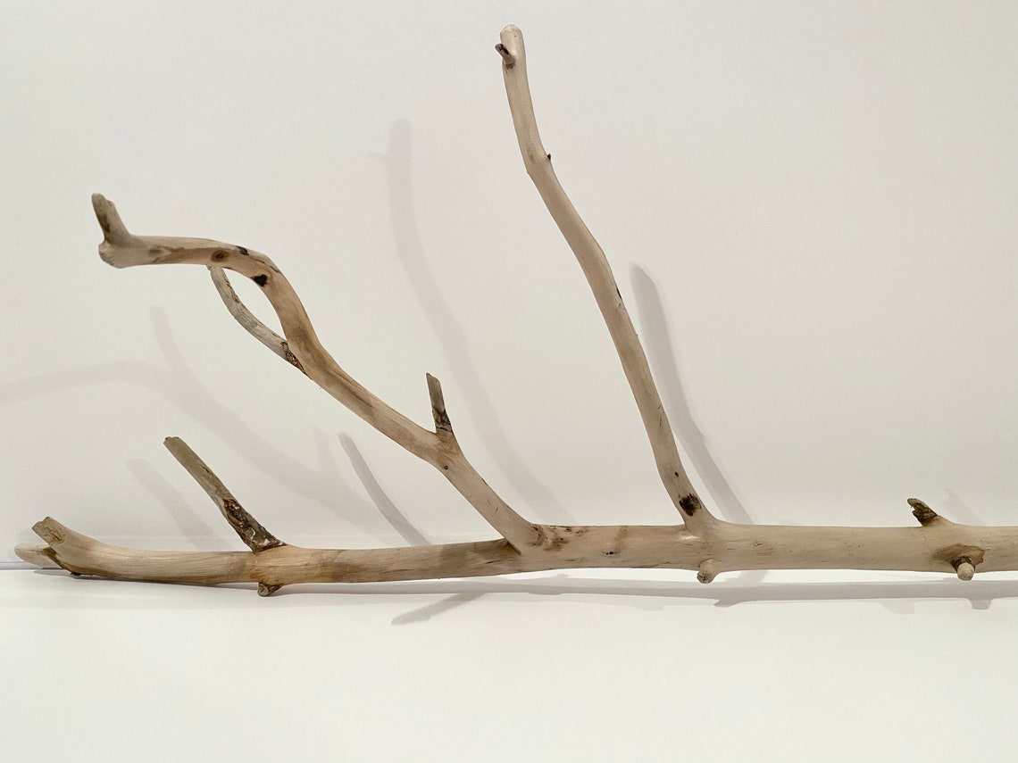 Driftwood branch driftwood wall hanging rustic wall decor Etsy