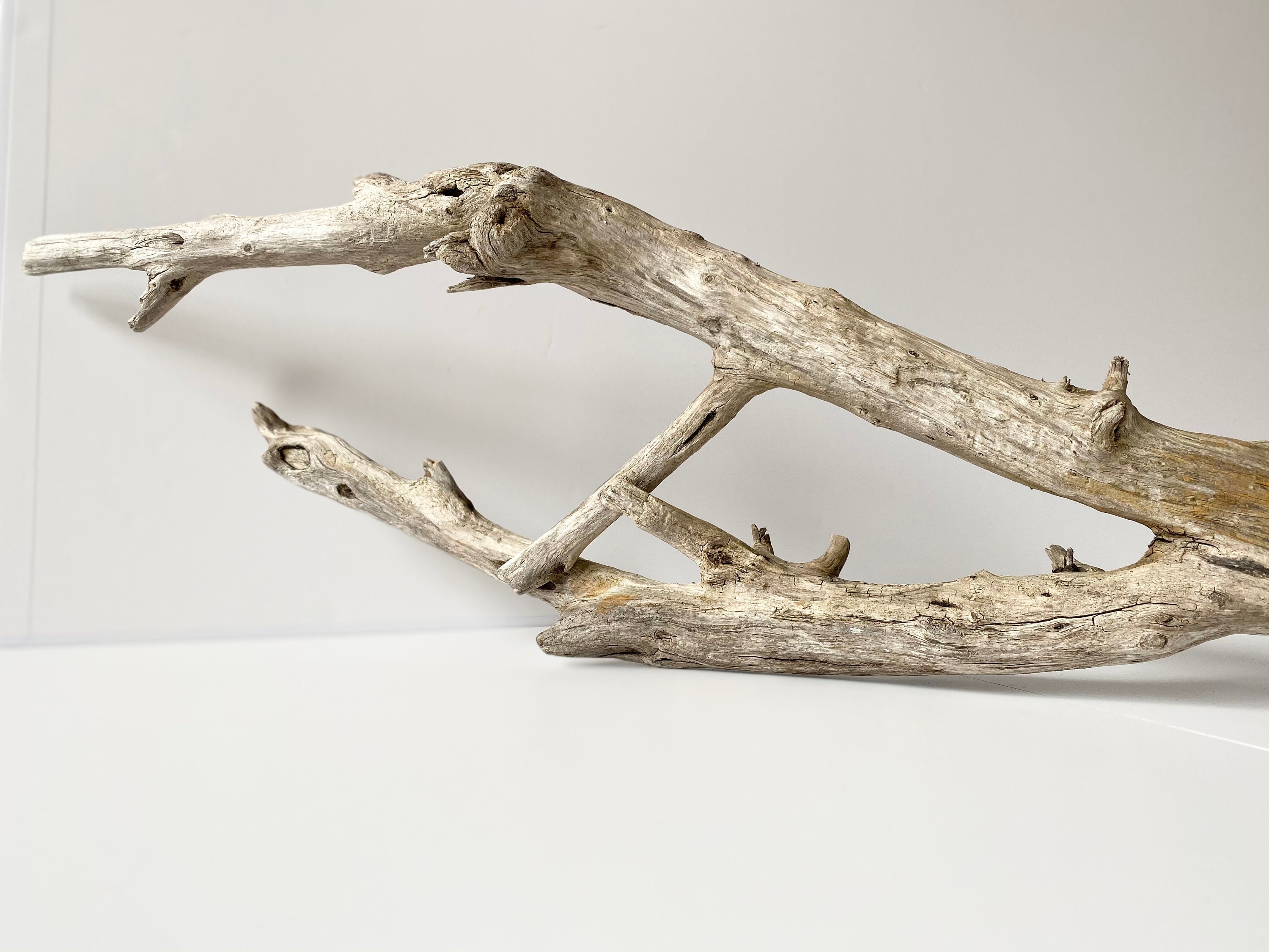 Large Driftwood Piece Aquarium Driftwood Driftwood Branch Etsy