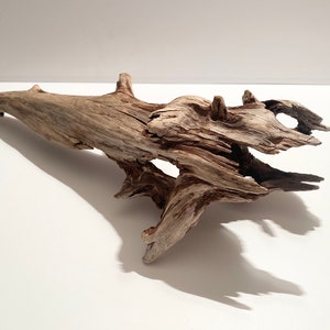 Weathered driftwood for reptile hide, driftwood aquarium cave, fish tank decor, driftwood aquascape hardscape, riparium, aquarium ghostwood