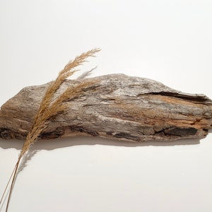 Decoración única para acuarios Aquascape, losa de madera flotante natural, madera vieja para terrarios, recinto para reptiles de madera desgastada, para manualidades