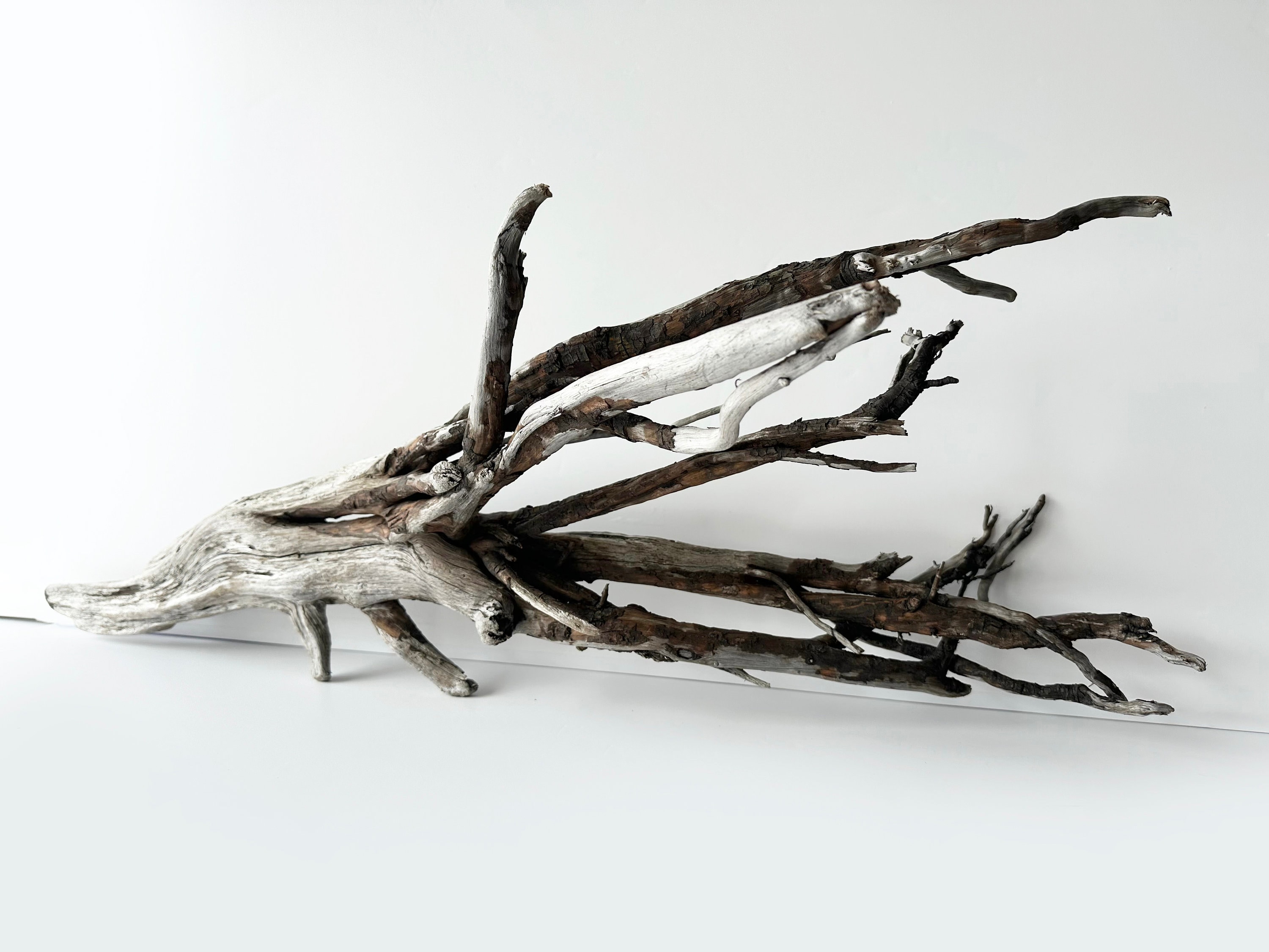 Aquascape aquarium driftwood sticks, ghostwood branch decor, terrarium driftwood for fish tank, reptile wood, snake enclosure, boho shelf