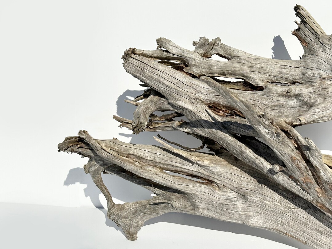 Aquarium Driftwood Stump, Large Driftwood Sculpure, Ghostwood Branch
