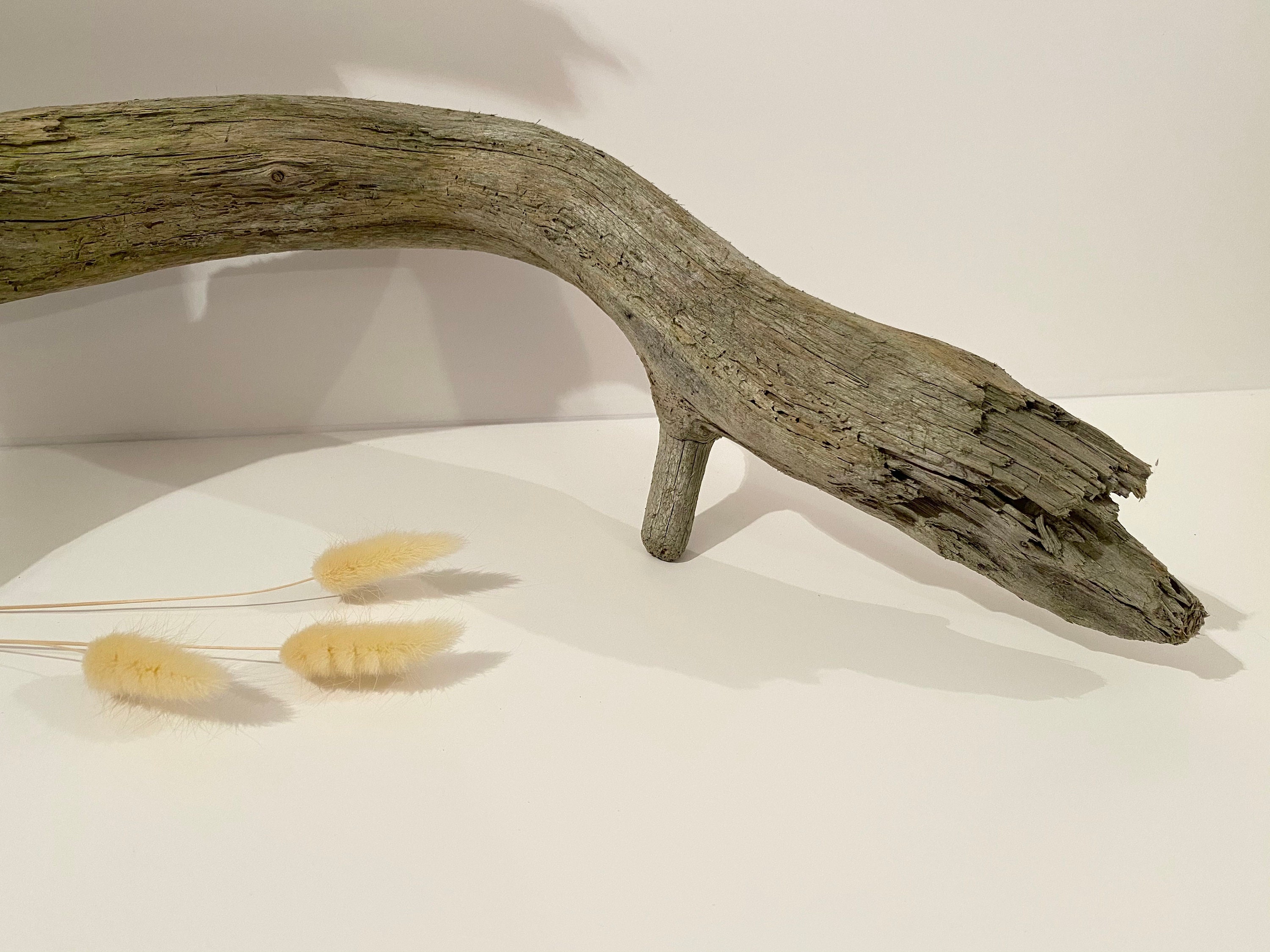 Large aquarium driftwood fish tank decoration aquascaping Etsy