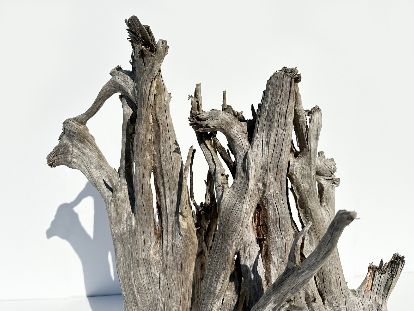 Ghostwood Logs - Ghostwood Sticks - Sandblasted Ghost wood Ghostwood Logs - Ghostwood Sticks - Sandblasted Ghost wood