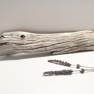 Beach driftwood aquarium decor unique, ghost wood sign, rustic board, terrarium decor for snake enclosure, beach home decor, decorative wood