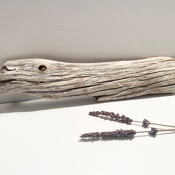 Ghost Wood Terrarium Etsy