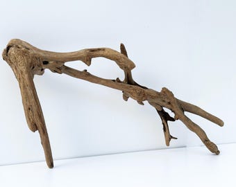 Aquarium decor unique driftwood piece, terrarium driftwood sculpture, reptile decor, fish tank wood, weathered driftwood aquascape hardscape