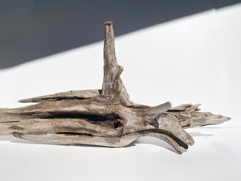 Extra Large Driftwood Garden Wood Decor Large Driftwood Etsy