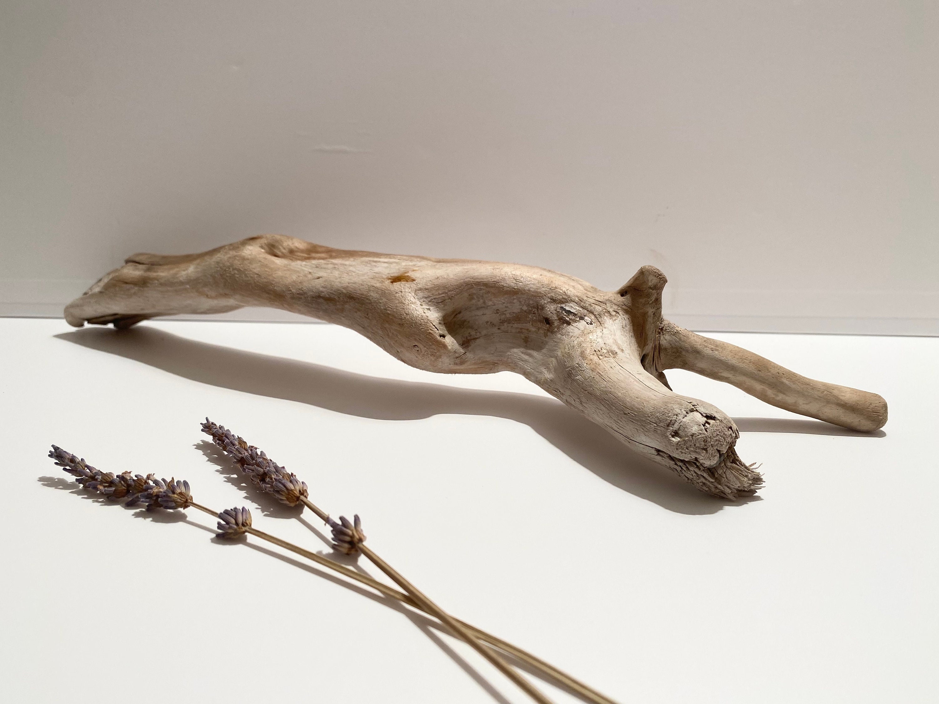 Aquascape Hardscape Aquarium Decor Unique Driftwood Aquarium Ghostwood