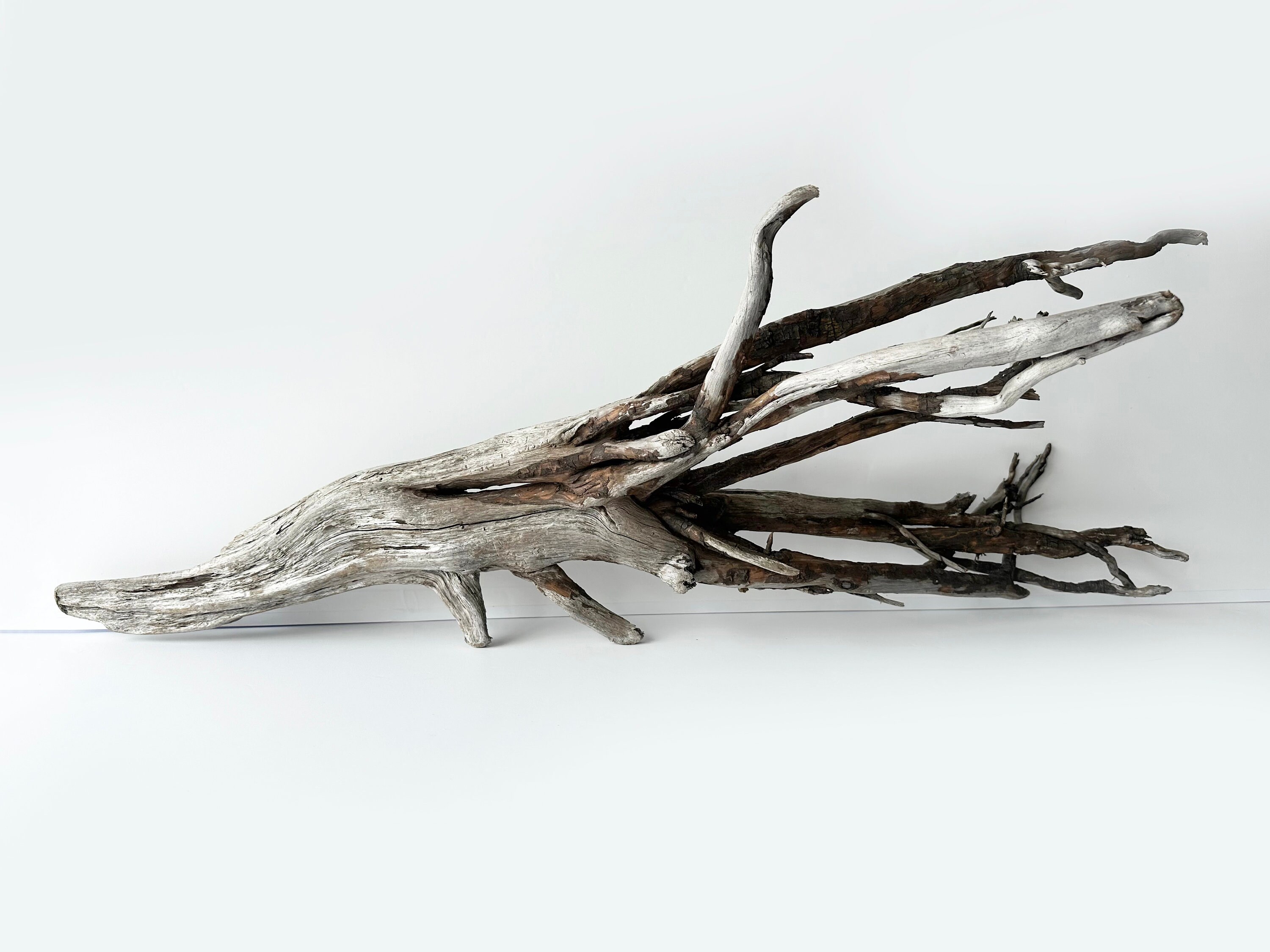 Aquascape Aquarium Driftwood Sticks Ghostwood Branch Decor Etsy