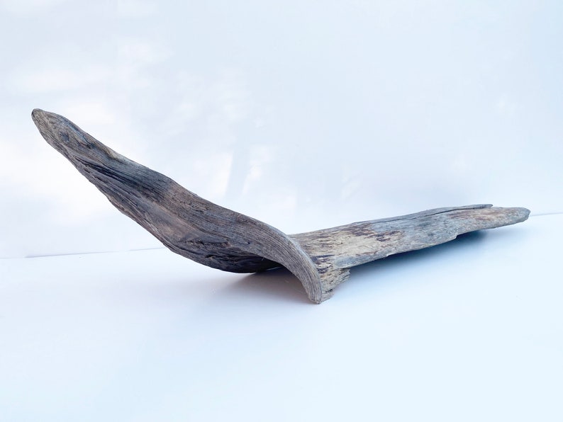 Extra Large Driftwood, Garden Wood Decor, Large Driftwood Sculpture