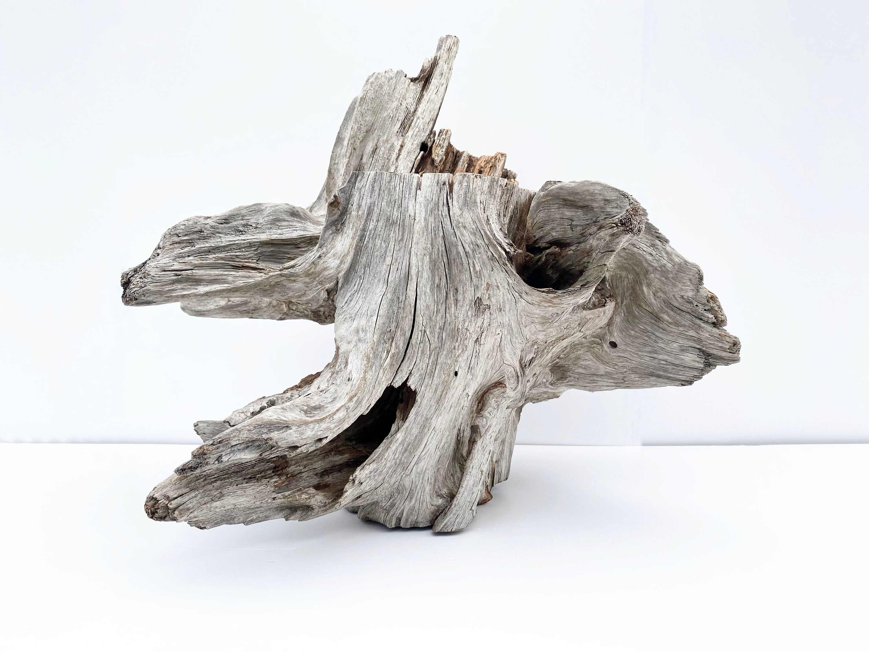 Extra Large Driftwood Sculpture, Wood Terrarium Reptile Hide, Garden