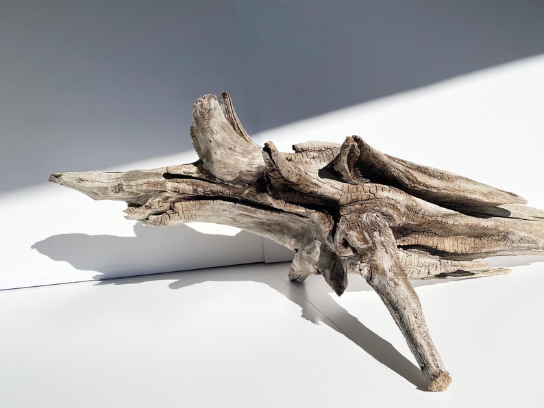 Extra Large Driftwood Garden Wood Decor Large Driftwood Etsy
