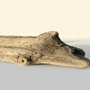 Losa de madera flotante natural, madera vieja para terrarios, decoración de acuarios de paisaje duro Aquascape única, recinto de reptiles de madera desgastada, para manualidades