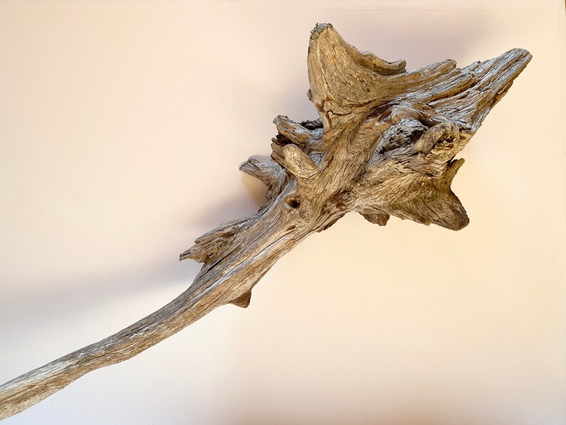 Large driftwood piece driftwood sculpture aquarium Etsy
