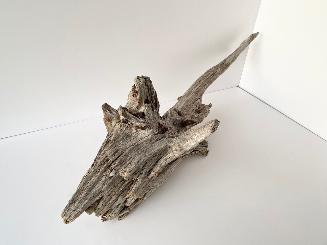Large driftwood piece driftwood sculpture aquarium Etsy
