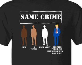 Same Crime Different Time Donald Trump President Version T-shirt, Social Justice Tshirts, Corrupt Legal System, Protest Tee