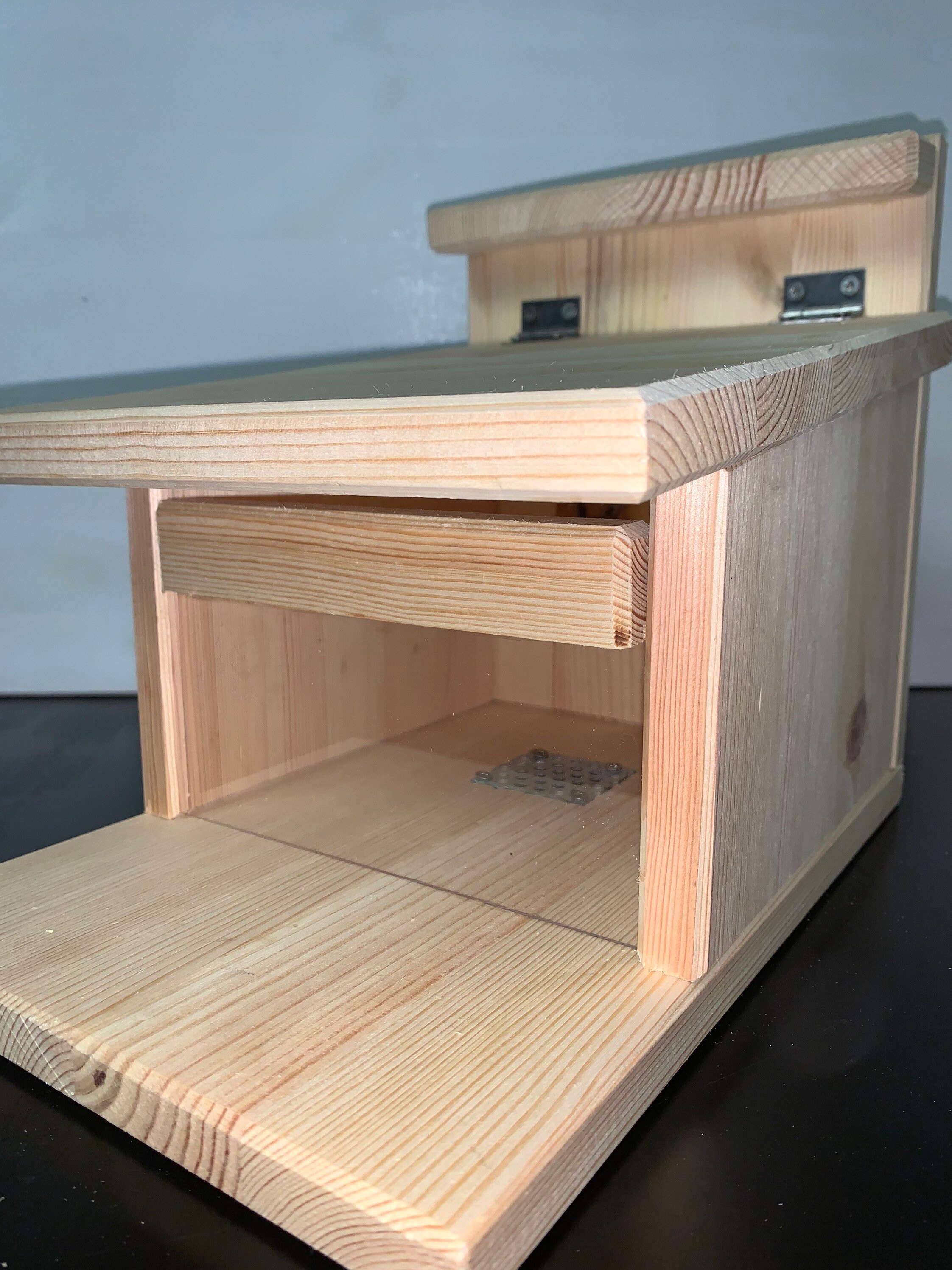 Casa de alimentación para ardillas | Etsy