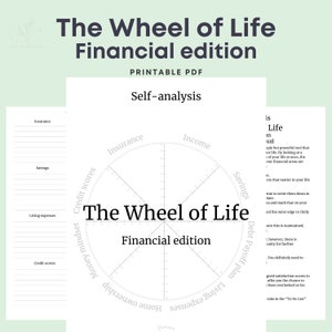 Wheel Of Life Template Printable. Money Finance Template. Wheel Of Balance Printable Planner, Coaching Worksheet. PDF Digital Download