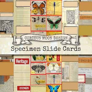SPECIMEN SLIDE PRINTABLE Cards Vintage Museum style for Junk Journals, Scrapbooks, Science, Ephemera, Embellishment, Kit, Digital Download