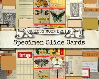 SPECIMEN SLIDE PRINTABLE Cards Vintage Museum style for Junk Journals, Scrapbooks, Science, Ephemera, Embellishment, Kit, Digital Download