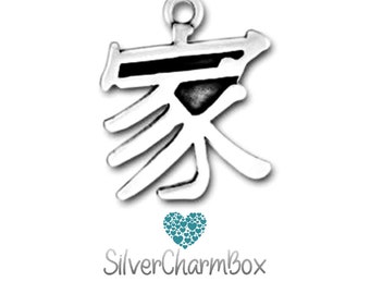 Sterling Silver Chinese Character Charms for Family, Father, Friendship, Good Luck, Health, Mother, Peace, Power, Strength and Success