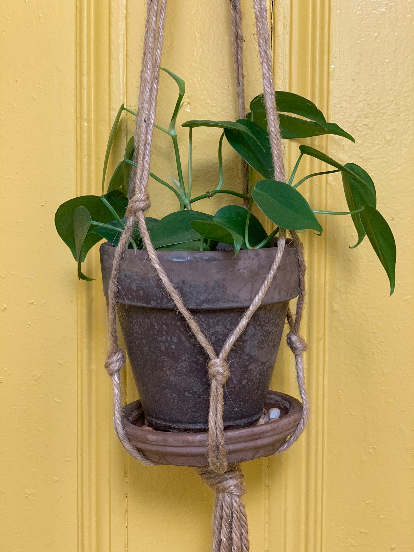Size Small 2 ft long hanging plant hanger Etsy
