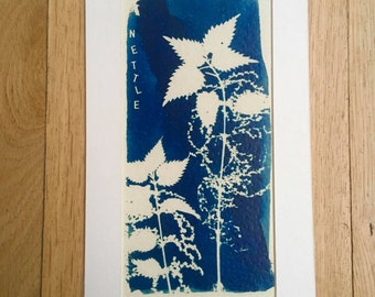 Nettle Cyanotype Copy