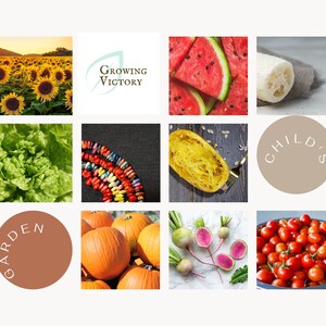 Children&#39;s Garden Seeds Boxed Gift Set - Ten Varieties - DIY Garden Kit for Kids, How to grow veggies and flowers. Growing Victory Vegetable