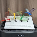 Dragonfly Accessories