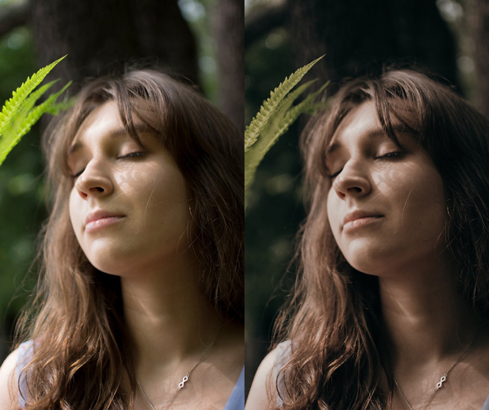 portrait preset lightroom portrait preset lightroom