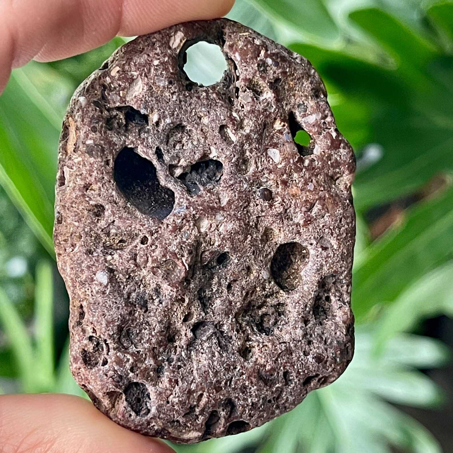 Pudding Stone Hagstone Holed Stone Rochers de plage Etsy France