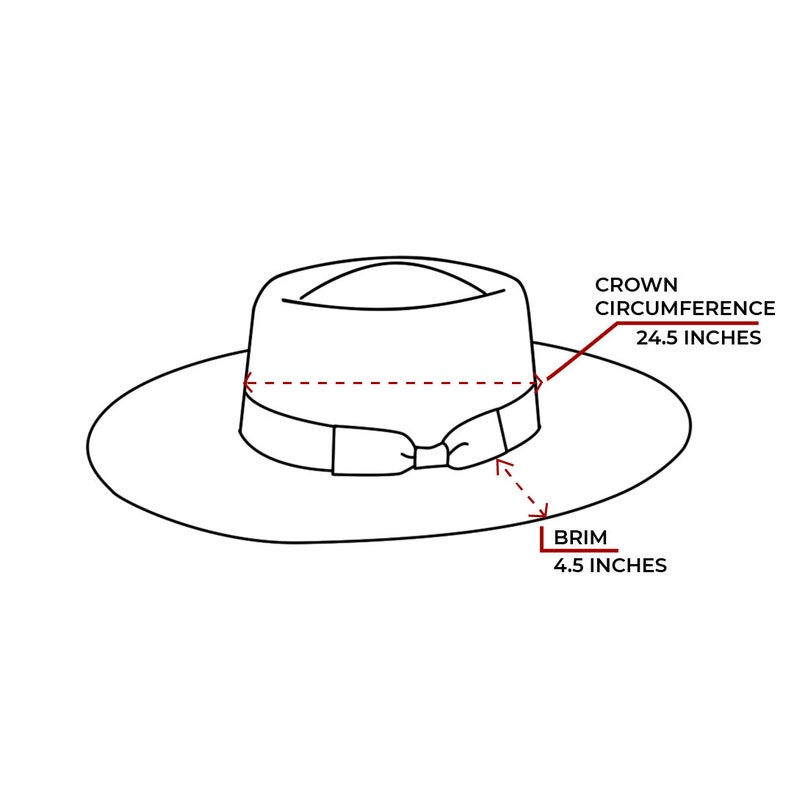 Wide Brim Fedora Boater Hat image 4