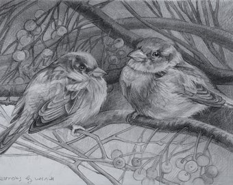 Two Sparrows. An original graphite pencil drawing of two sparrows.