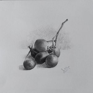 Graphic drawing &#39;Grape&#39;. Original artwork made by hand. Graphite Pencil Drawing.