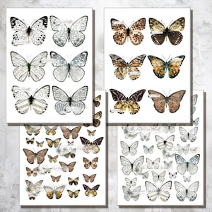 Conjunto de borboletas brancas e marrons com recortes digitais para cartões, diário, mídia mista, tela, colagem, diário de arte, scrapbooking e muito mais