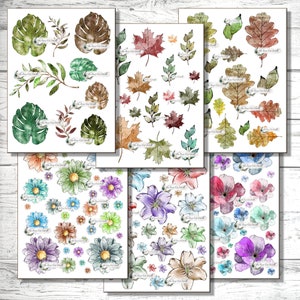 Aquarelas digitais para impressão, flores azuis, roxas, vermelhas, marrons e verdes para artesanato feito à mão, telas, cartões, mídia mista, diário